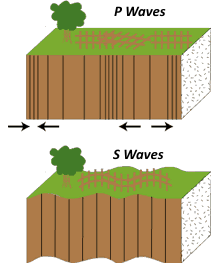 seismic waves