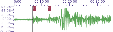 seismogram